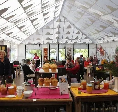 Appartement Paloma Mit Terrasse Und Gemeinschaftspool *